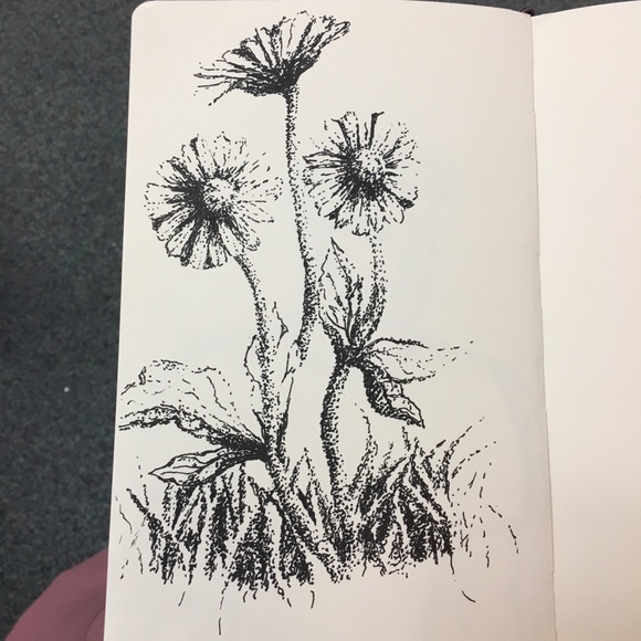 Drawing prints!! - Picture 2 of 7